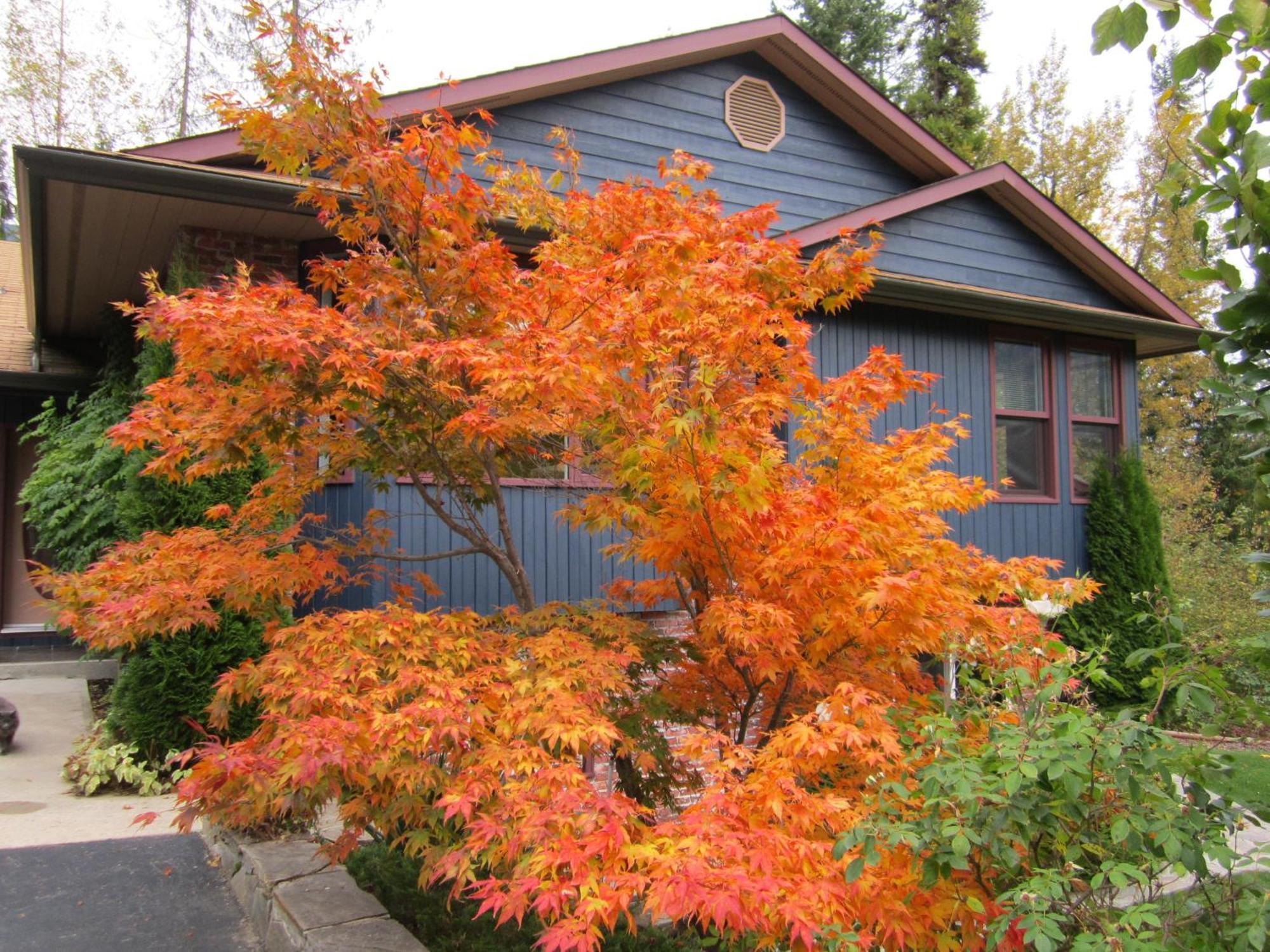 Creekside B&B Nelson Exterior foto